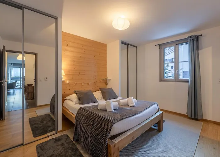 Spacieux Avec Wifi Au Centre De - Fr-1-343-255 Apartament