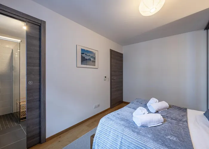 Spacieux Avec Wifi Au Centre De - Fr-1-343-255 Apartamento Chamonix Mont Blanc